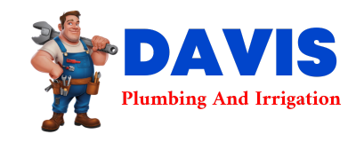 Trusted plumber in IDER